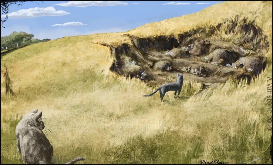 Ветряная лапа смотрит за Ветром тем что обгоняет листья.