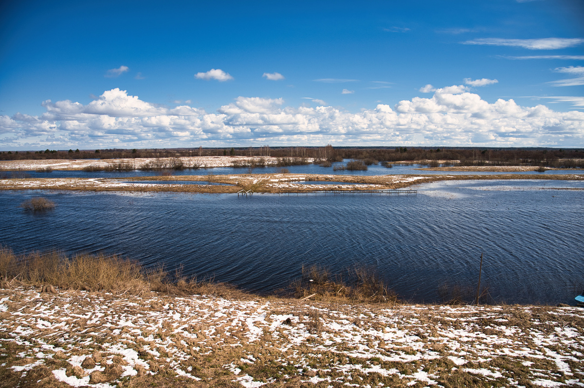 Просто красивая картинка село Черевково май 2024. Фото автора