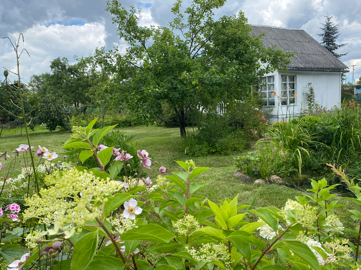 Начало августа 