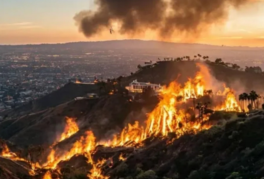 Иллюстрация с ресурса Яндекс-Картинки 