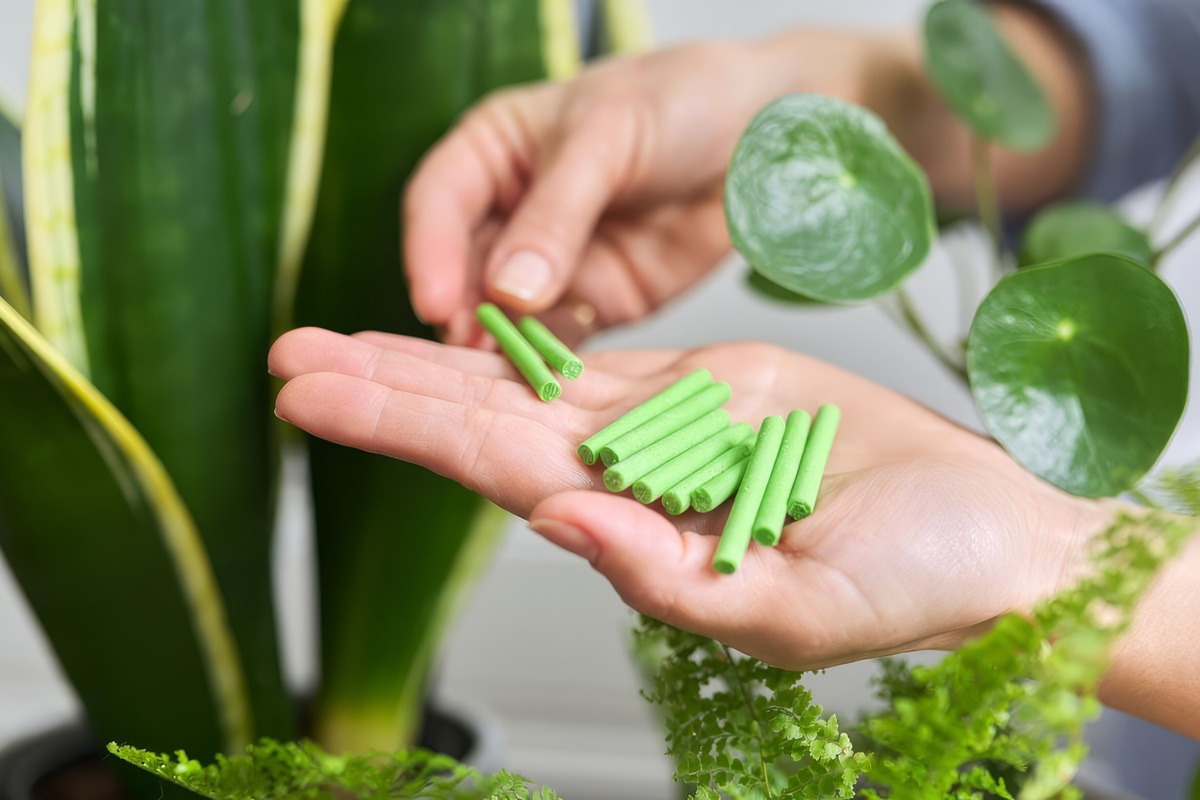     Вам больше не нужно помнить о необходимости постоянно удобрять комнатные растения – просто воткните эти палочки в почву