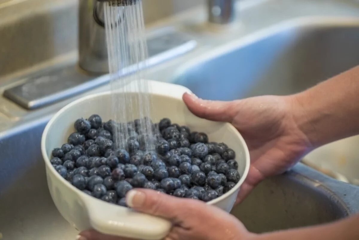    Nu.nl: 12 нидерландцев заразились гепатитом А после употребления черники