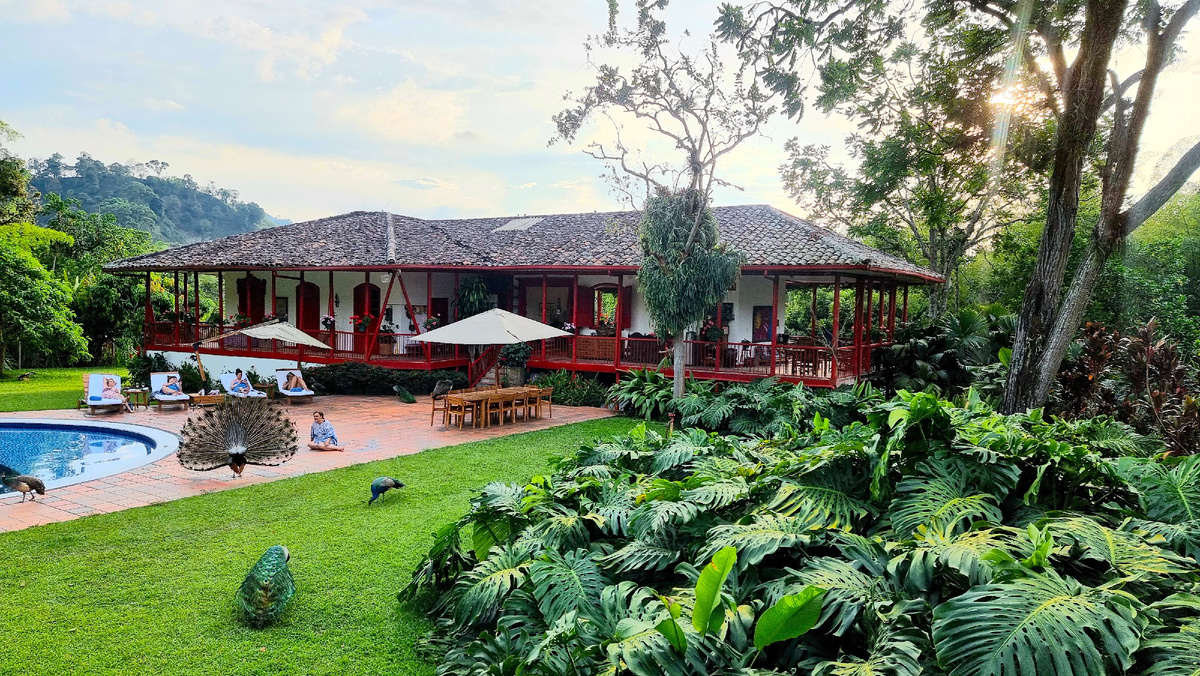 Кофейная ферма Hacienda Venezia и мини-отель в главном доме