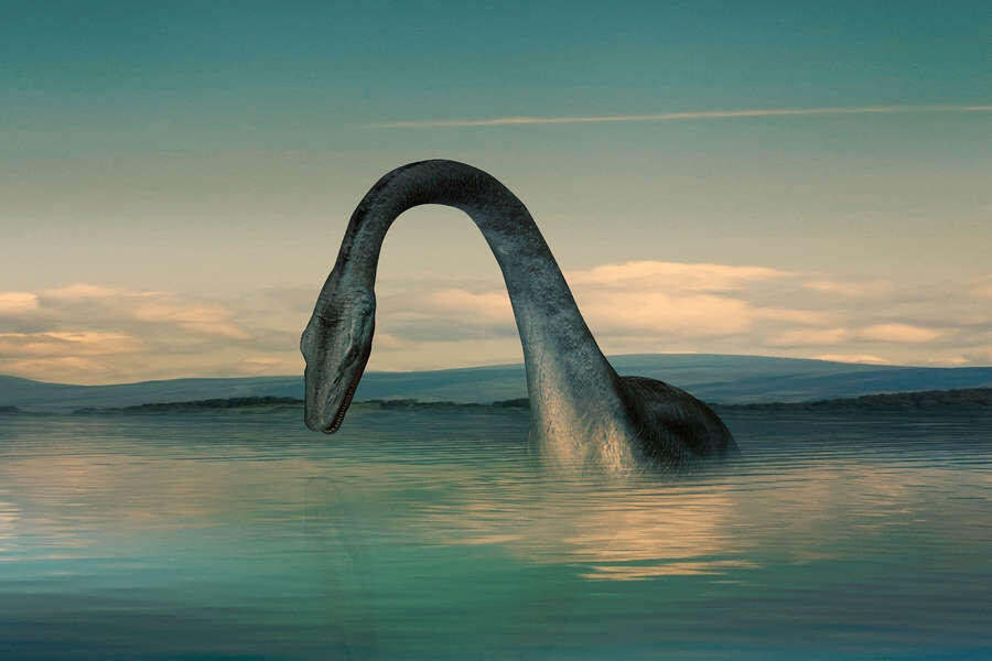 Лох-несское чудовище. Арт: gazeta.ru