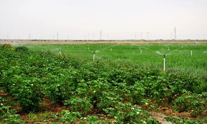 Источник фото: undp.org