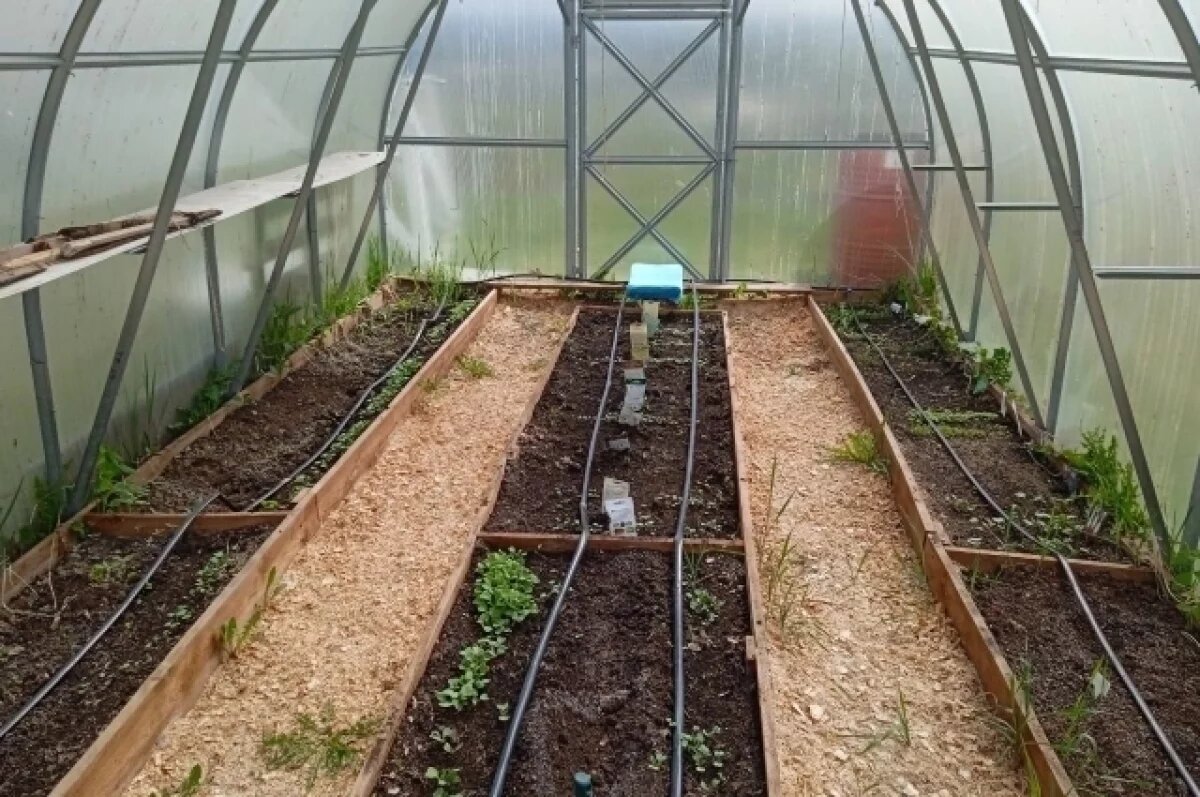    Под Тюменью открыли первую очередь селекционного тепличного центра