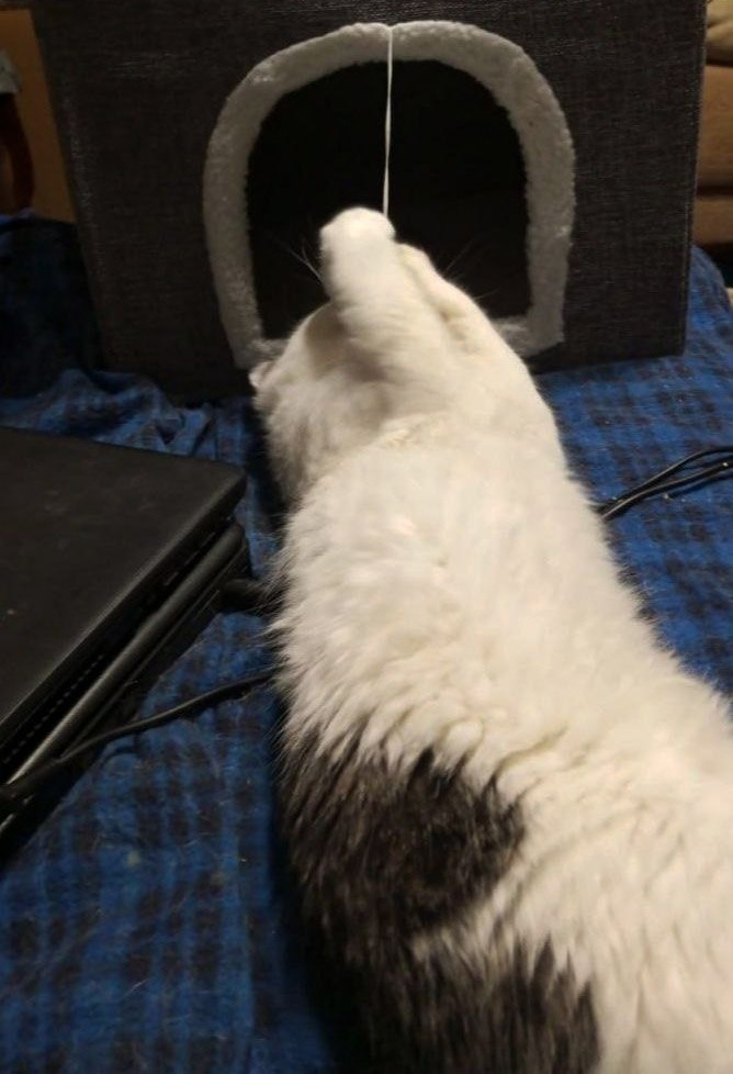 Иди сюда, моя прелесть!