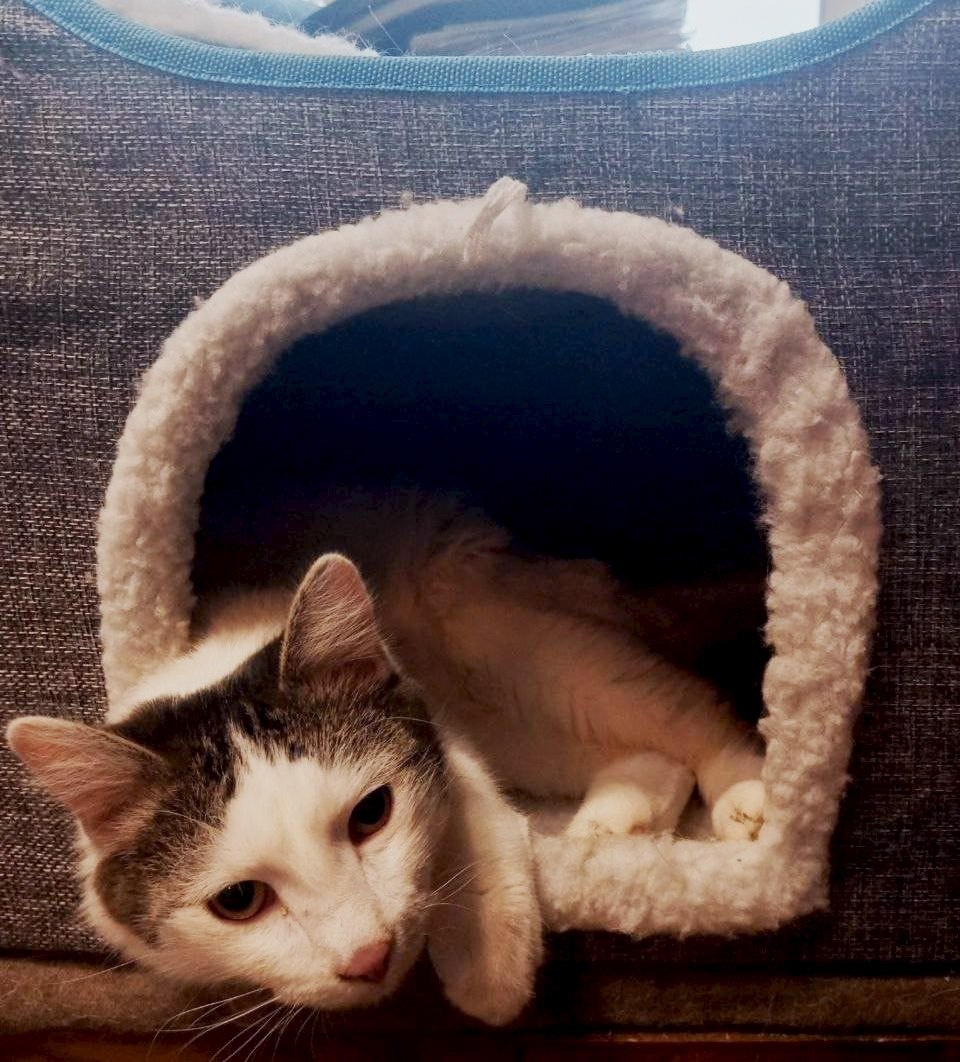 Без шарика даже лучше!