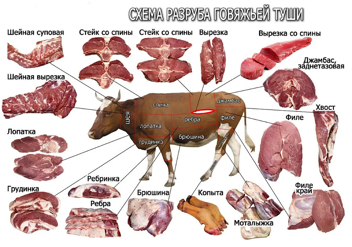 Схема