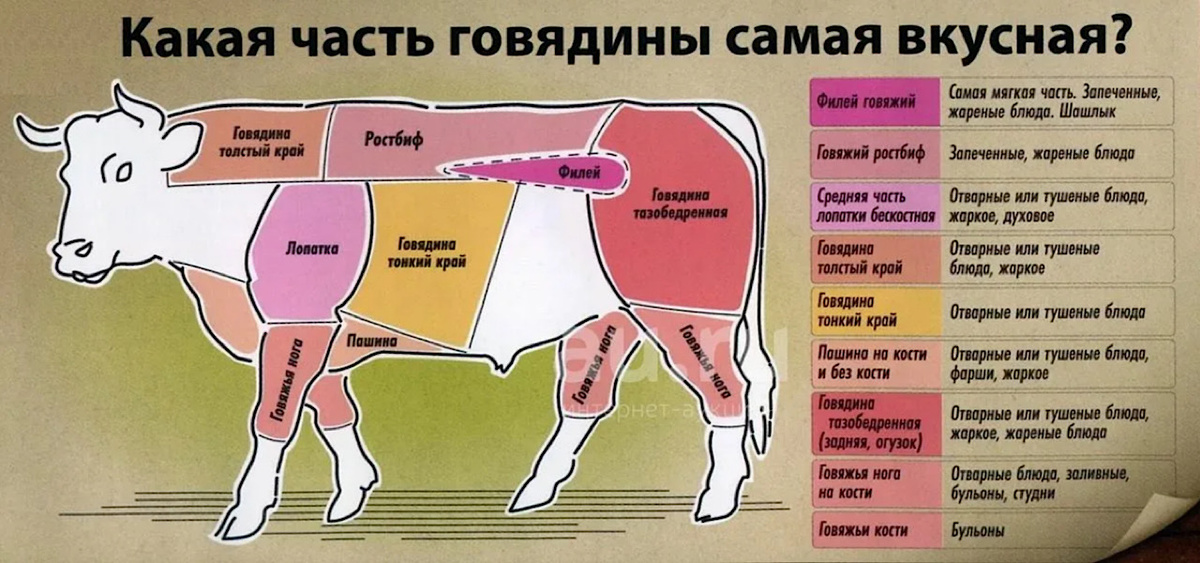 🐄🐄🐄🐄🐄