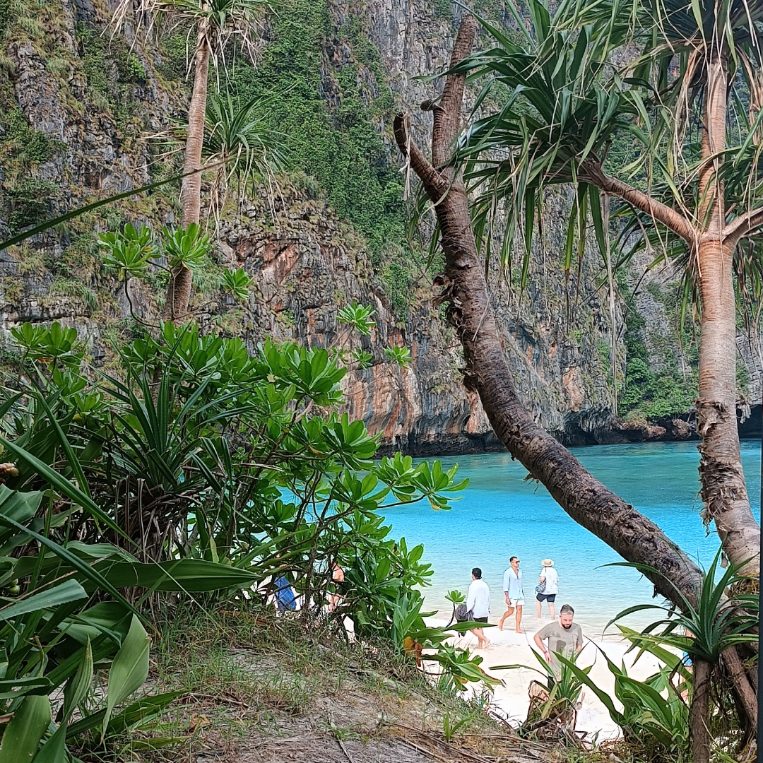Бухта Майя Бей, где снимали знаменитый фильм "Пляж"