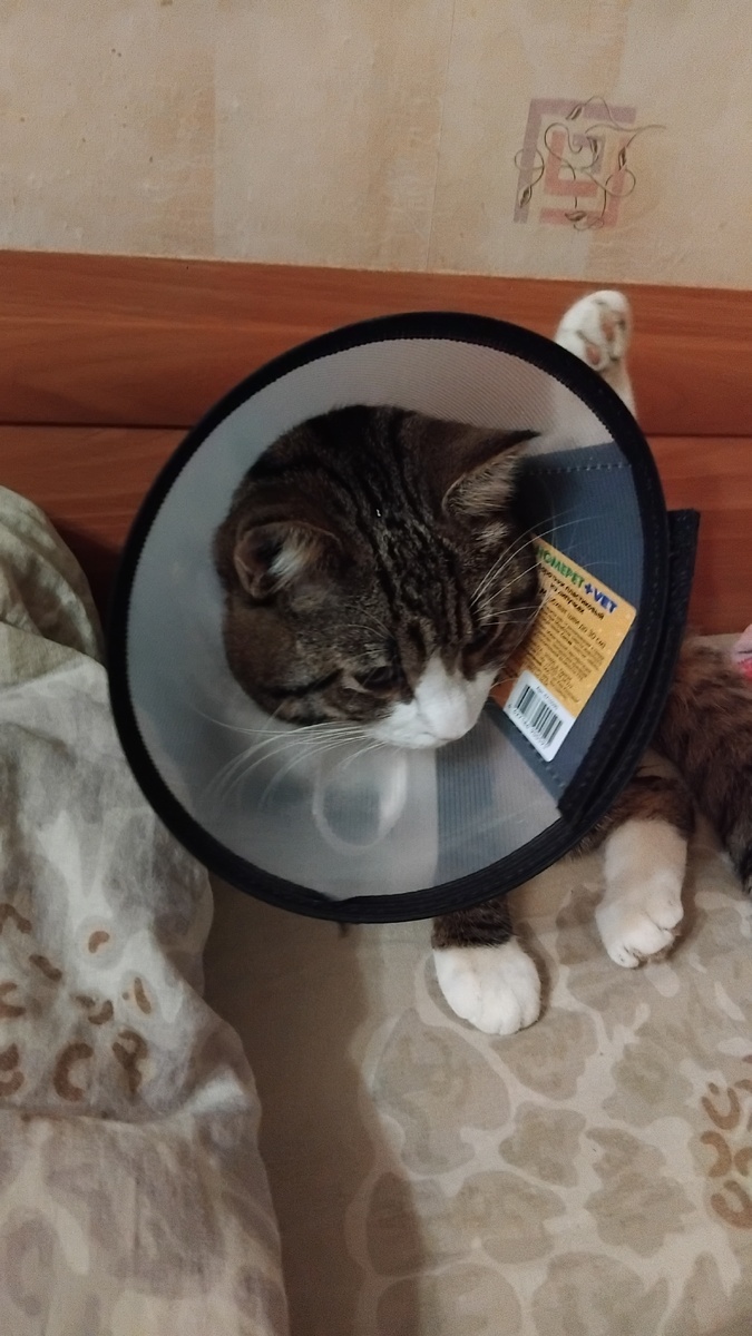 Пытается помыться. 