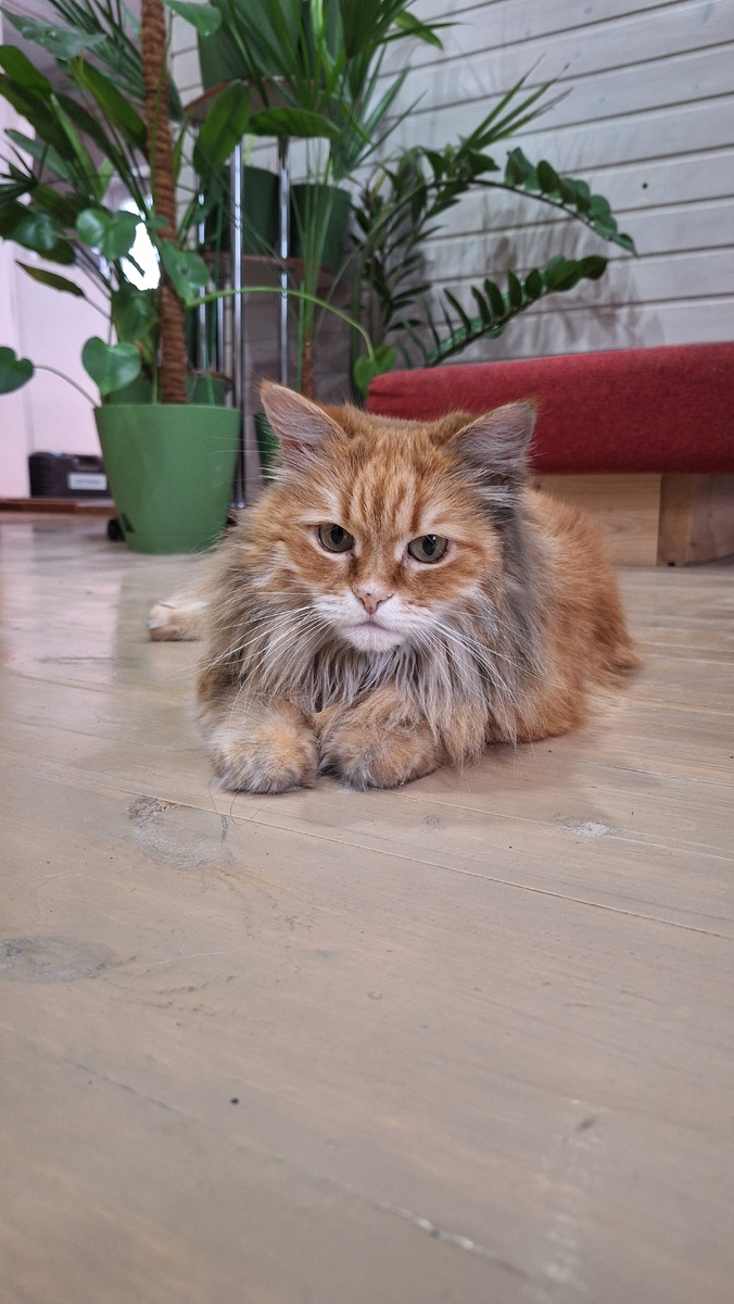 Фото автора. 