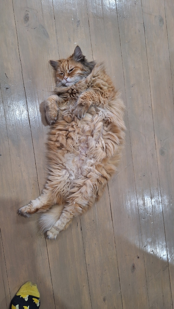 Фото автора. 