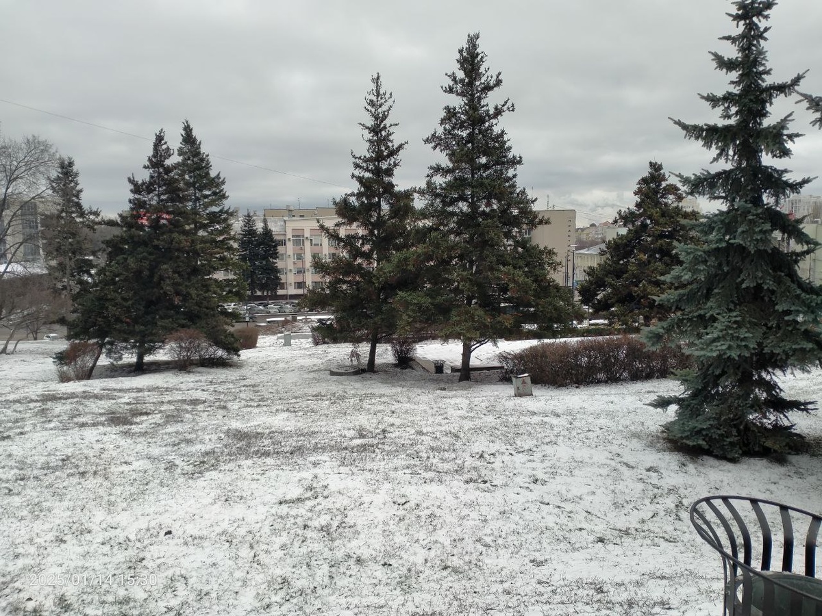 Вот столько мало снега у нас стало зимой. Фотография автора