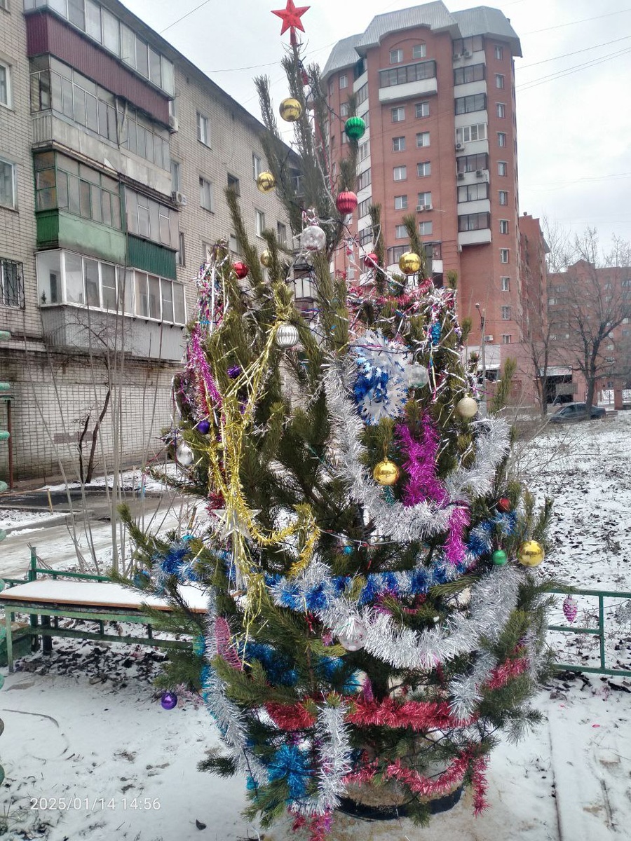 Украшенная елочка во дворе. Фотография автора