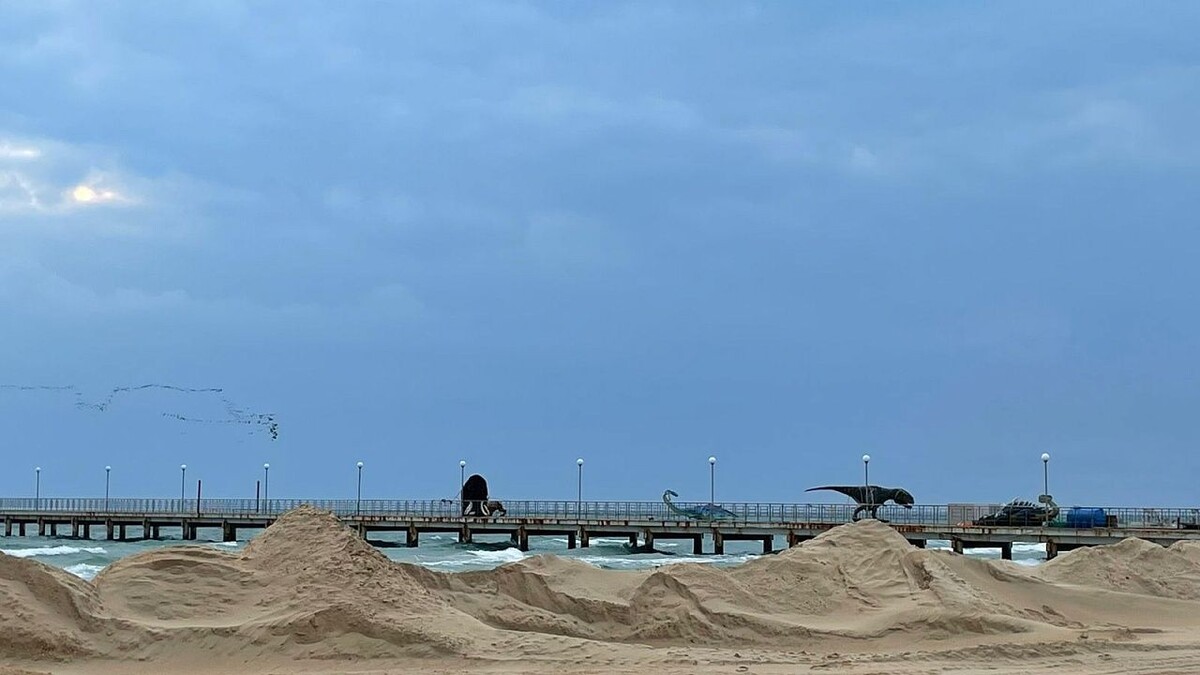    Фото: телеканал «Краснодар»