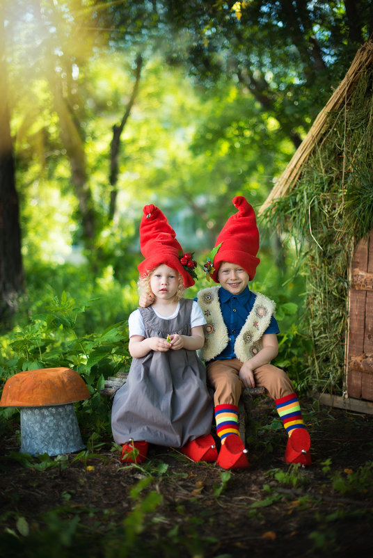 Лесные гномы