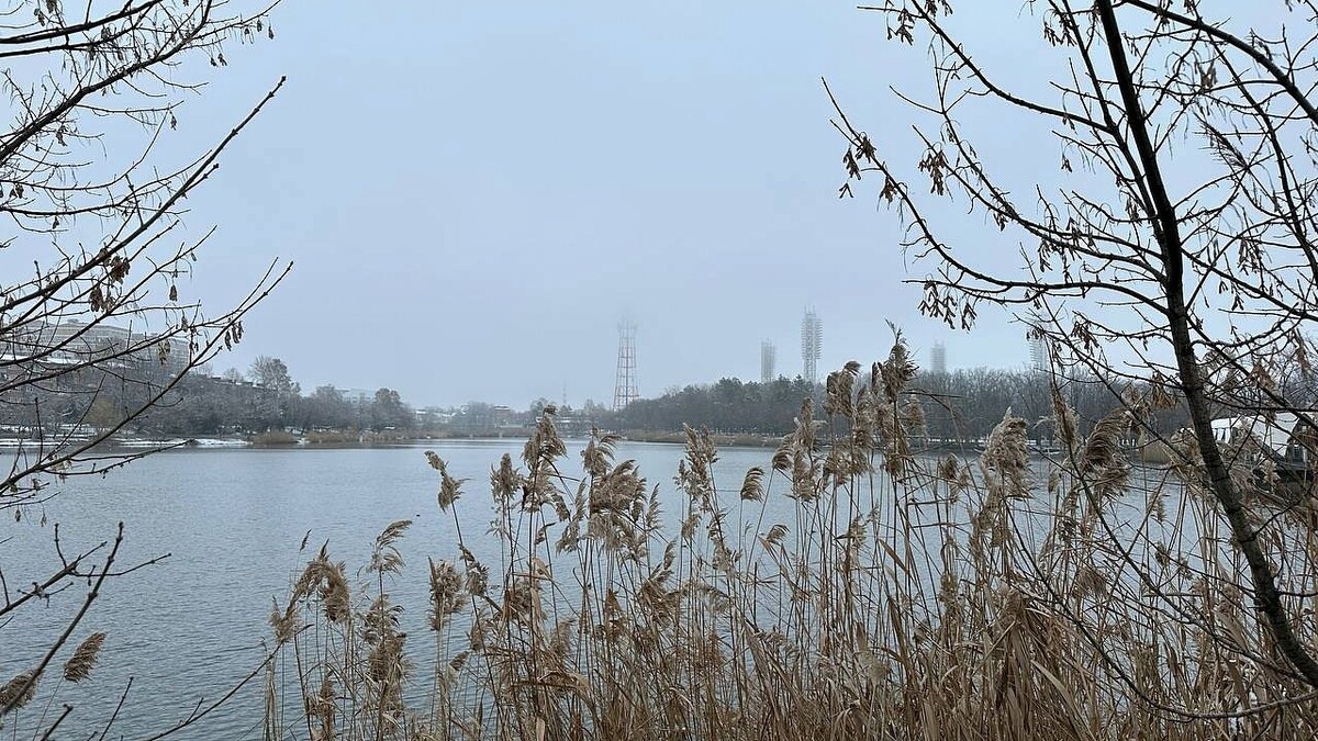    Фото: телеканал «Краснодар»