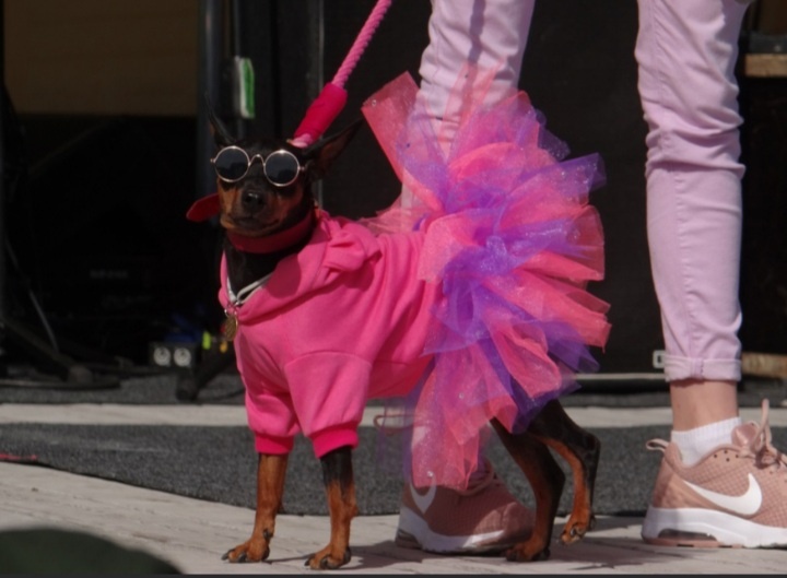 Ну ферзь! Ну тузяра!!!!😎