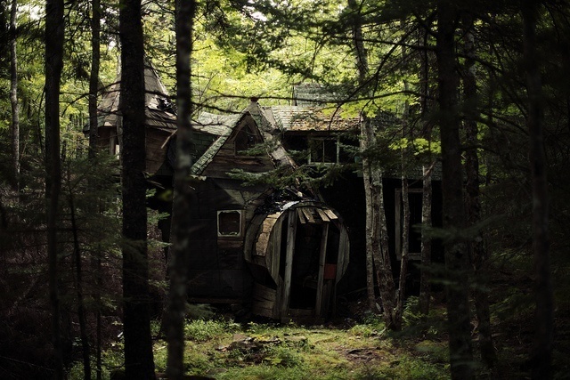 Яндекс. Картинки