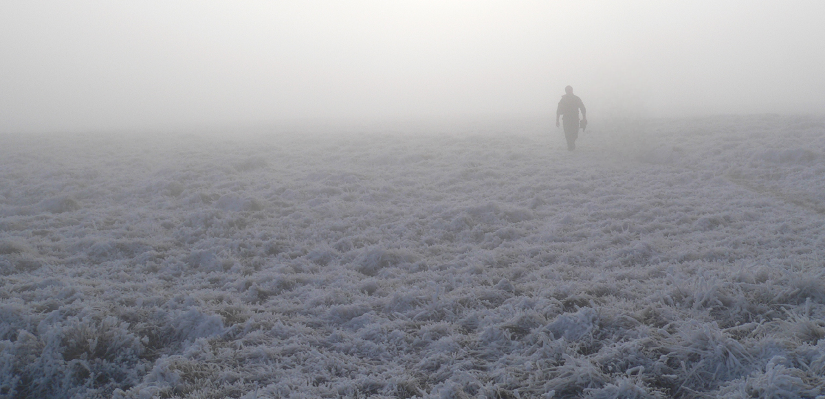 Из открытых источников.
