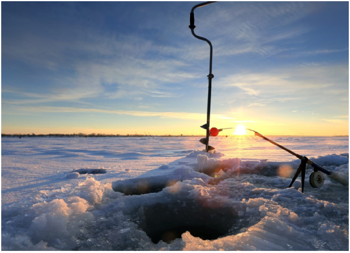 Фото взята с Яндекса. 