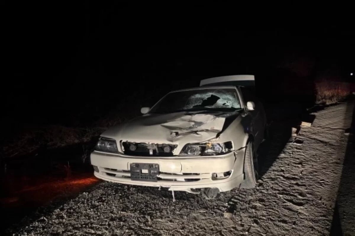    Водитель автомобиля Toyota Chaser, двигавшийся из Находки в сторону Артёма, совершил наезд на двух пешеходов