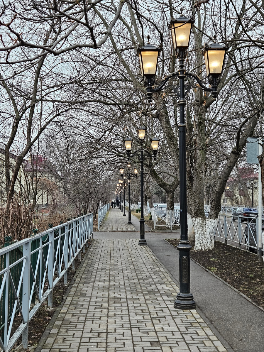 Аллея на улице Набережной