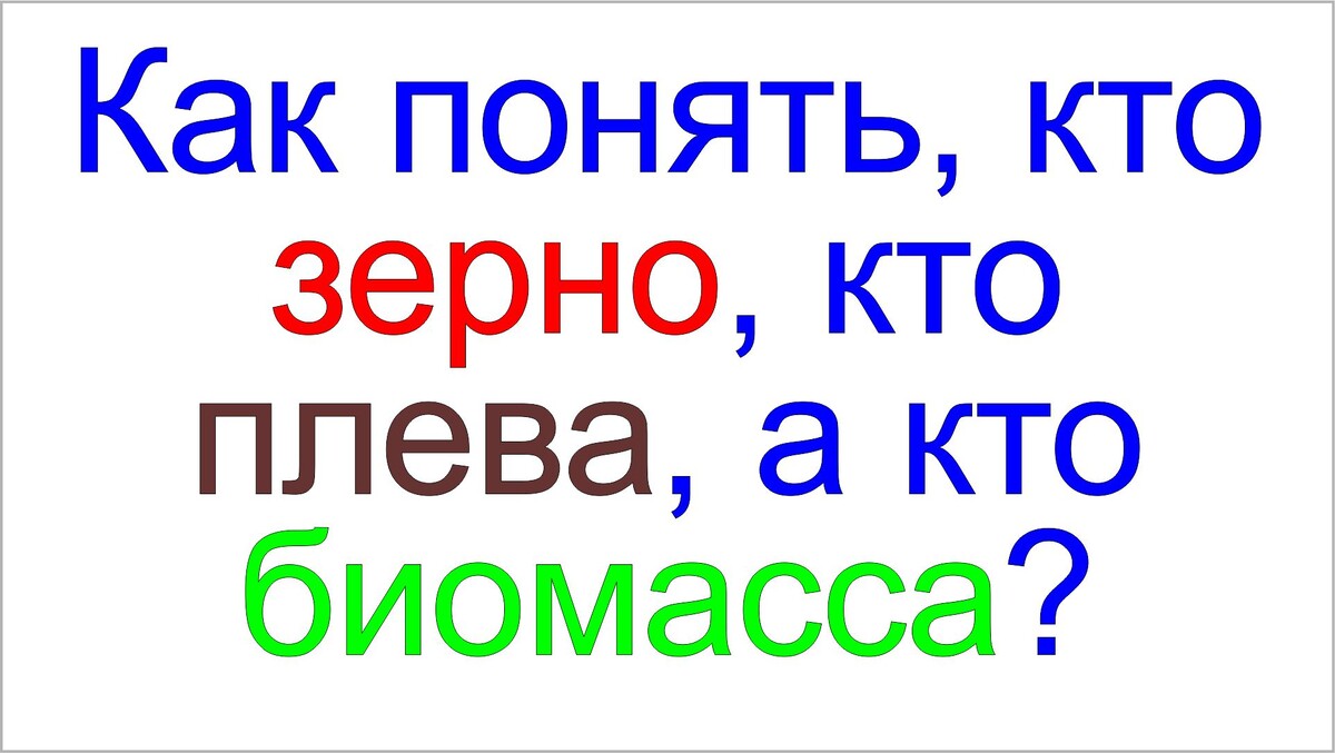Грядущий царь Сергей-Тимур о зернах, о плеве и о биомассе.