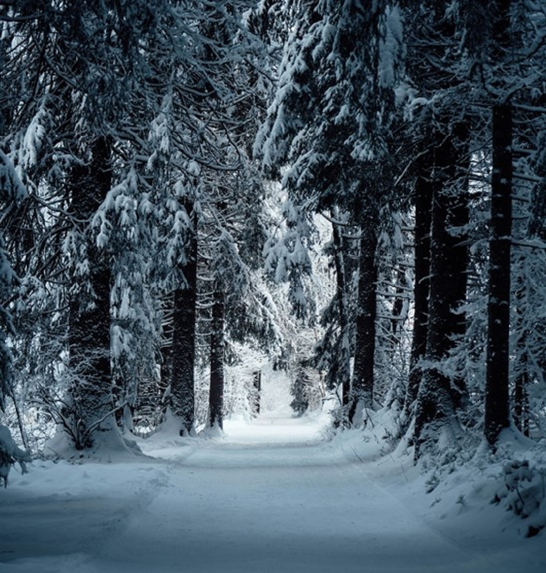 Источник: https://unsplash.com/  