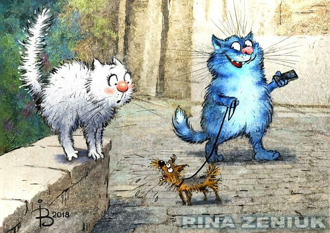 очаровательные коты Рины Зенюк