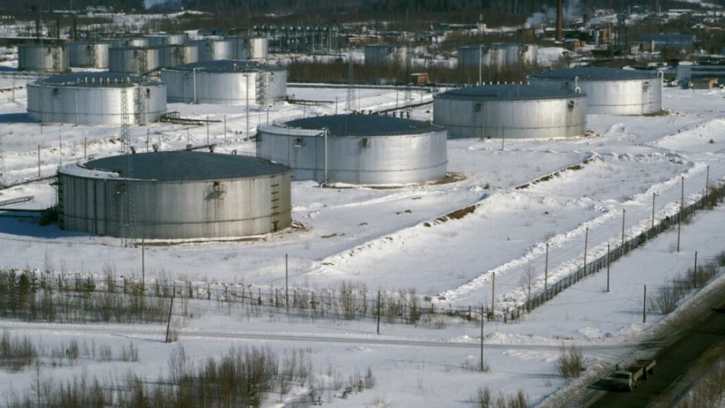    Nikolay Gyngazov/Russian Look/Globallookpress