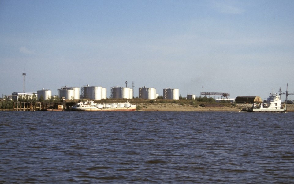    Фото: Nikolay Gyngazov/Russian Look/Globallookpress