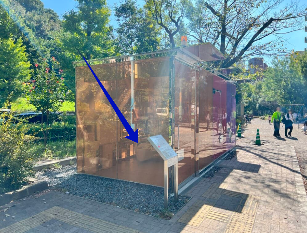 Как видите, снаружи видно все, вплоть до унитаза