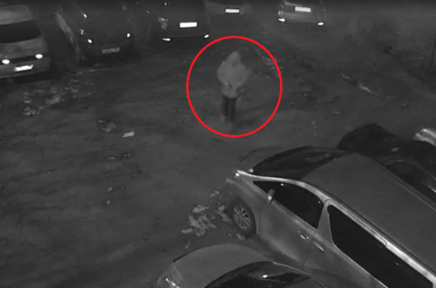    Источник фото: Скрин видео