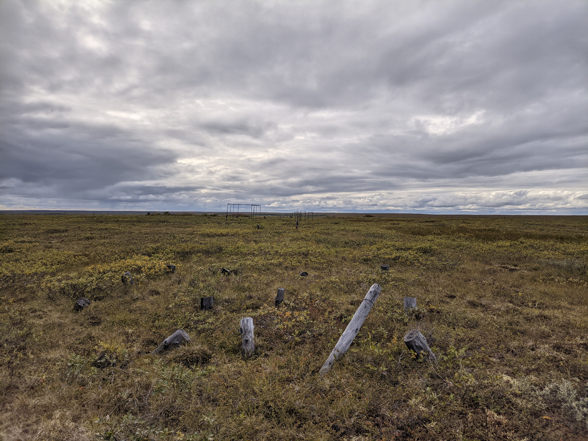 Общий вид на полосу препятствий