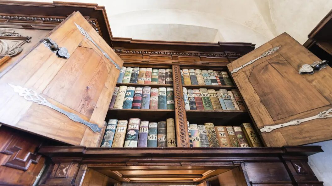    Фото: Moritz Wolf/imageBROKER.com/Globallookpress