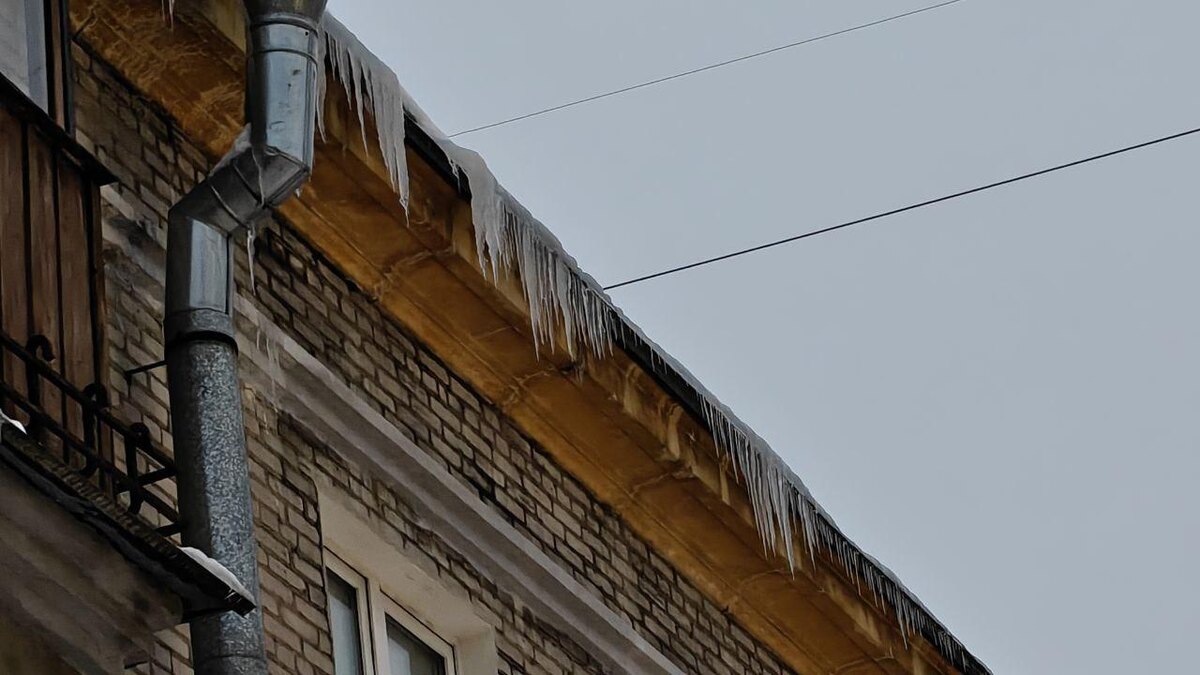    Фото: Транспортный коллапс. Красное Село