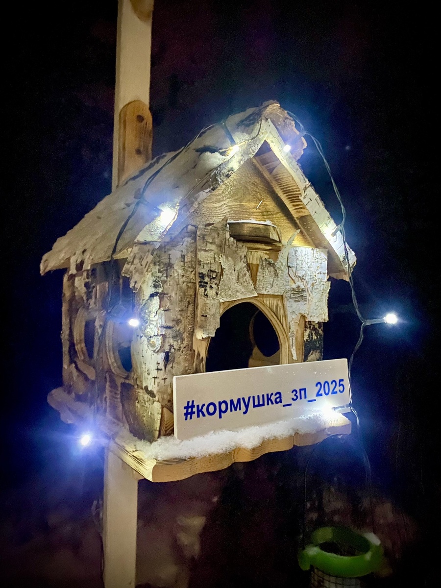 Фото Родиона Вахрушева