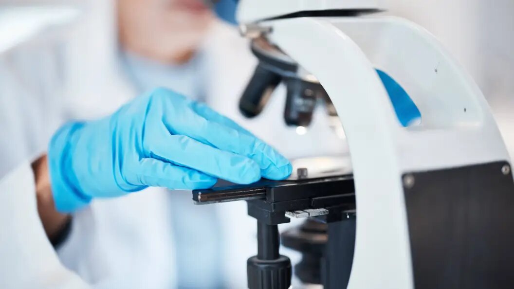    Фото: IMAGO/Zoonar.com/Kasper Ravlo/Globallookpress