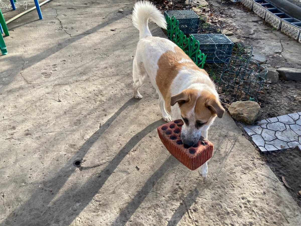 И это выдался солнечный денек. Но такое не часто. 