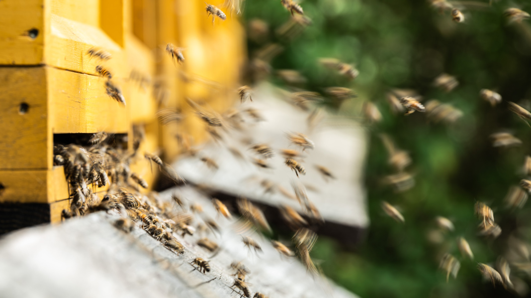    Silas Stein/dpa/Globallookpress