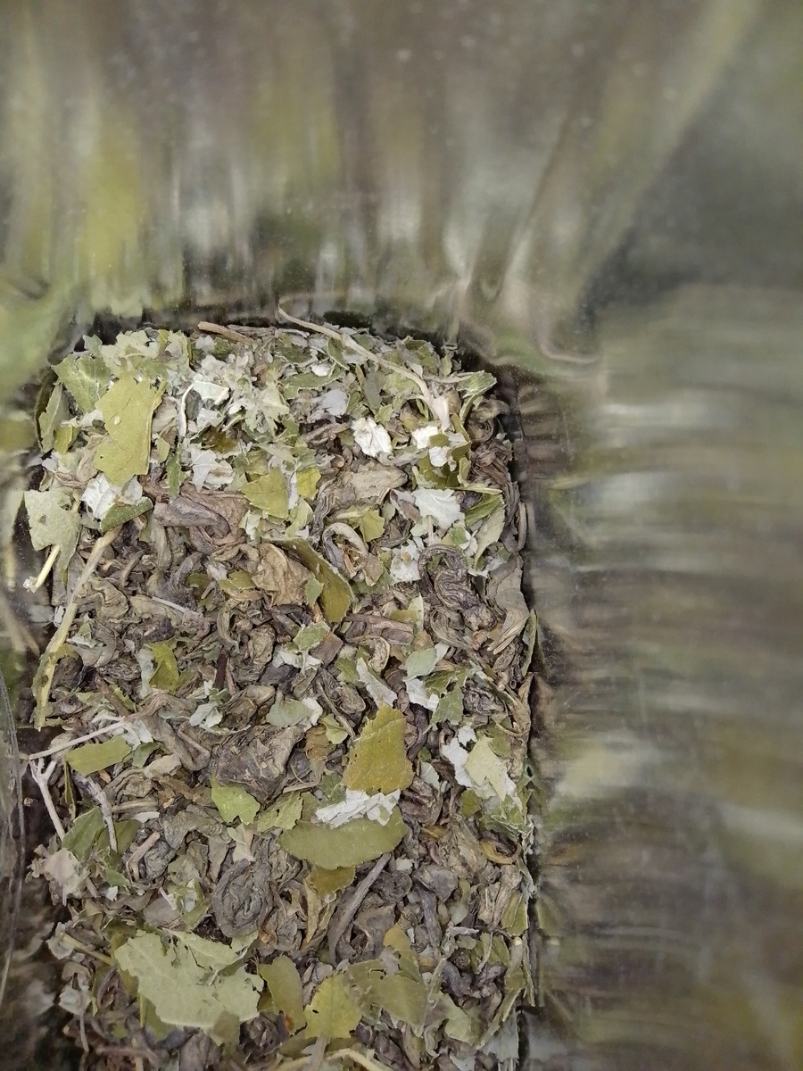 Фото автора. Зелёный чай с травами.