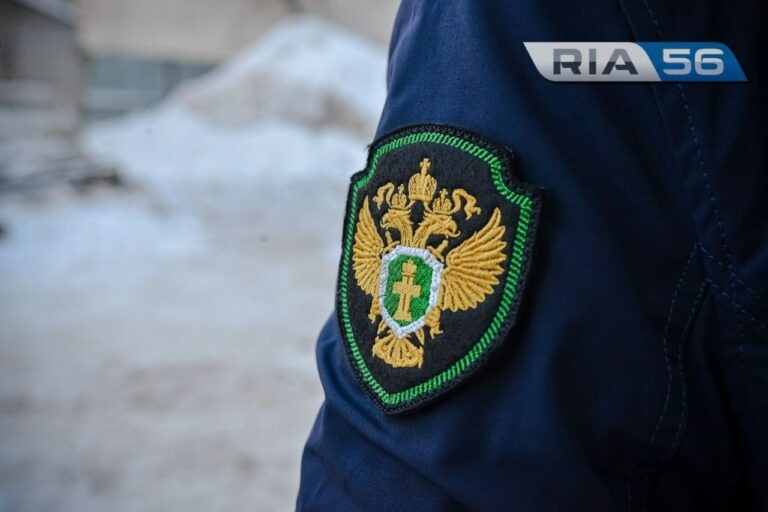    Прокуратура проводит проверку по факту пожара в поселке Каргала, где погибли два ребенка Кристина Просвиркина