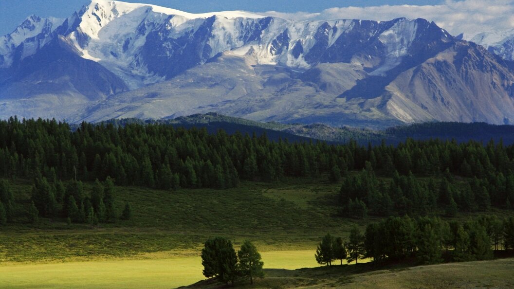    Фото: Maria Vashchuk/Russian Look/Globallookpress