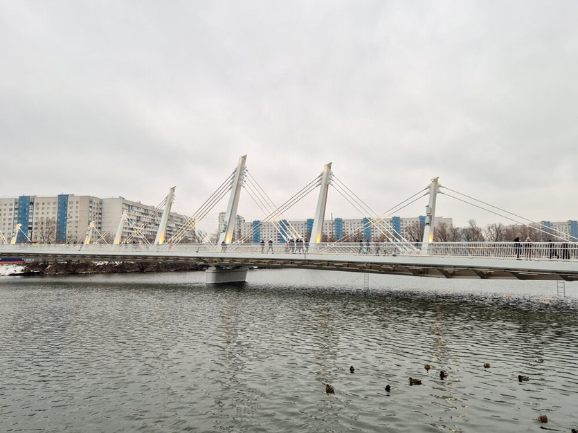    Фото: Денис Воронин / Агентство «Москва»