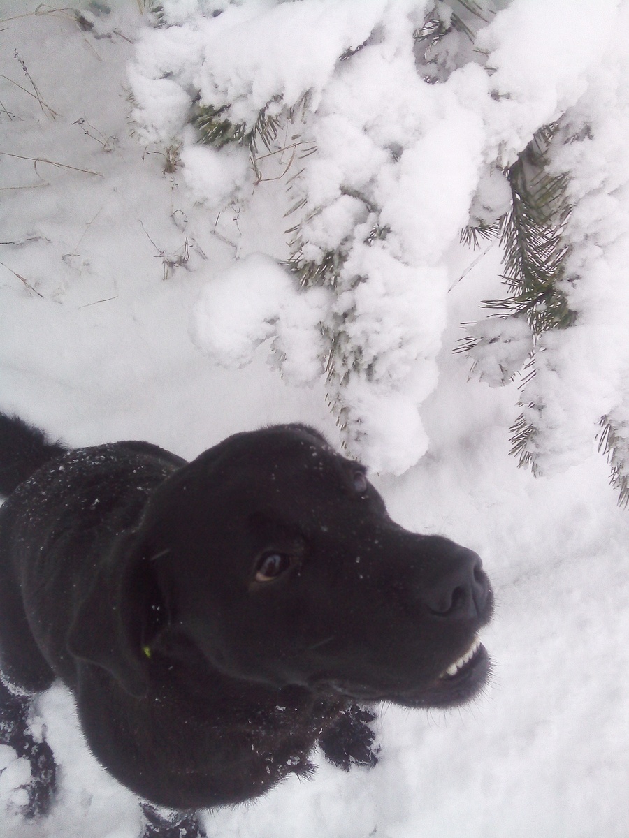 Фото автора.