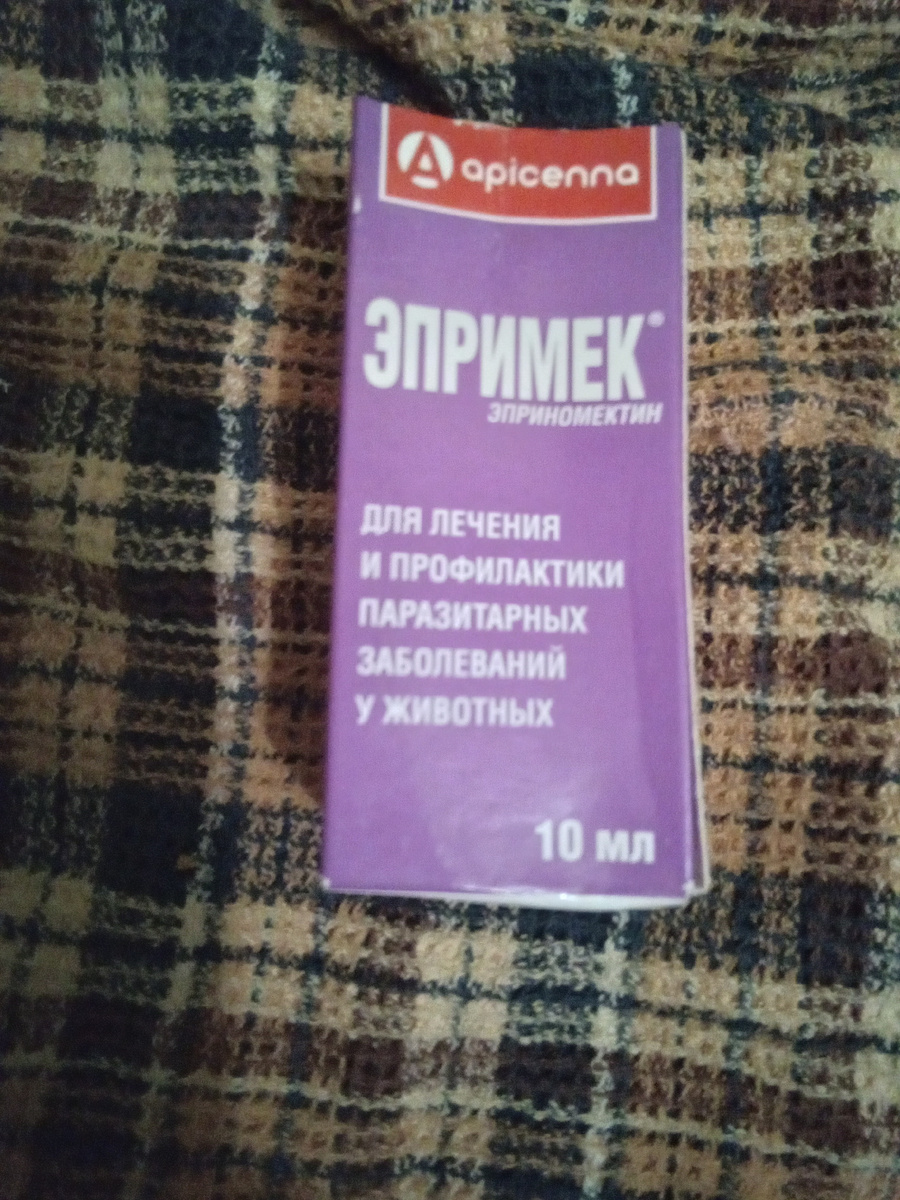 Фото автора.