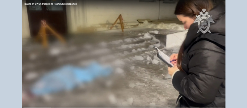    Глыба льда убила бухгалтера юридического полицейского колледжа Ларису Иконниковусо страницы главы Петрозаводска Инны Колыхматовой